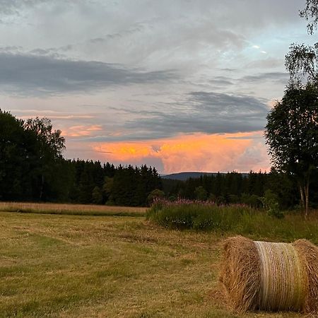 An Der Liesel Wiese Johanngeorgenstadt Bagian luar foto