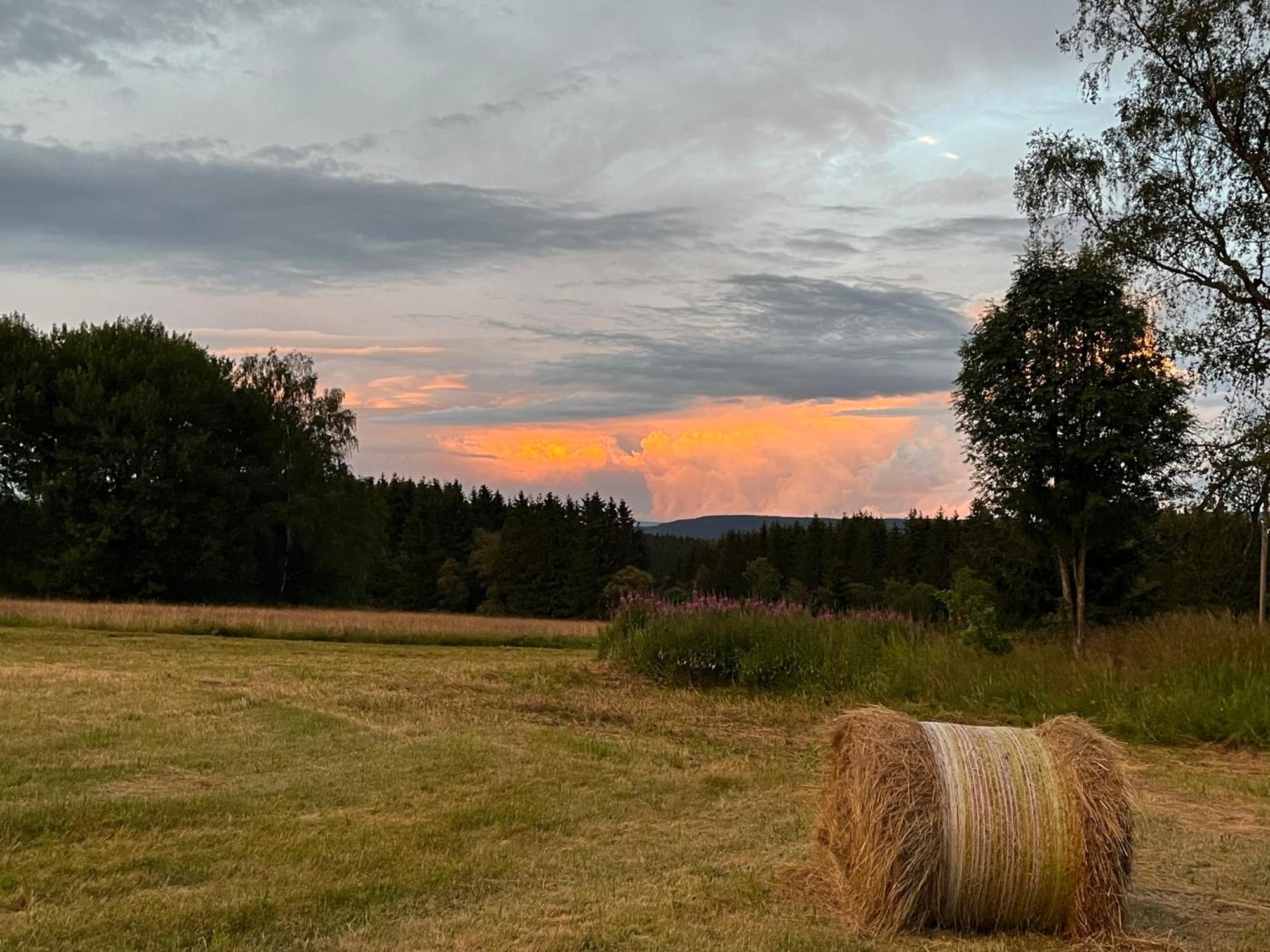 An Der Liesel Wiese Johanngeorgenstadt Bagian luar foto