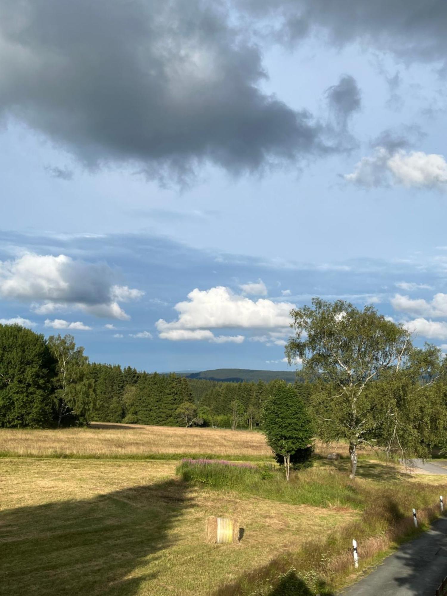 An Der Liesel Wiese Johanngeorgenstadt Bagian luar foto
